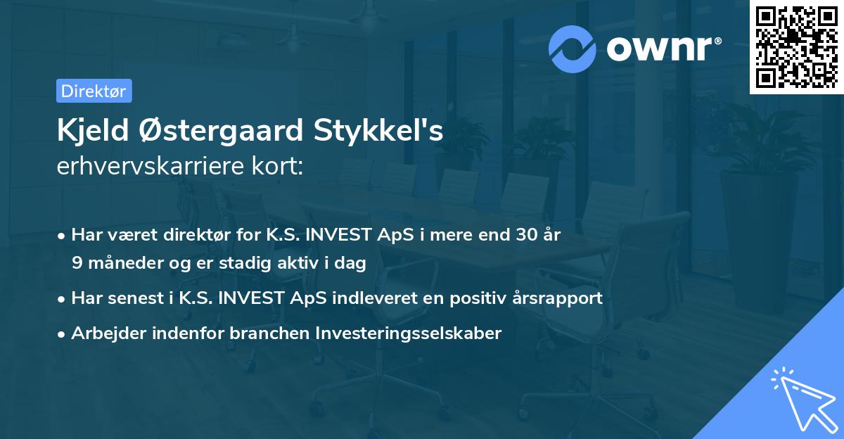 Kjeld Østergaard Stykkel's erhvervskarriere kort