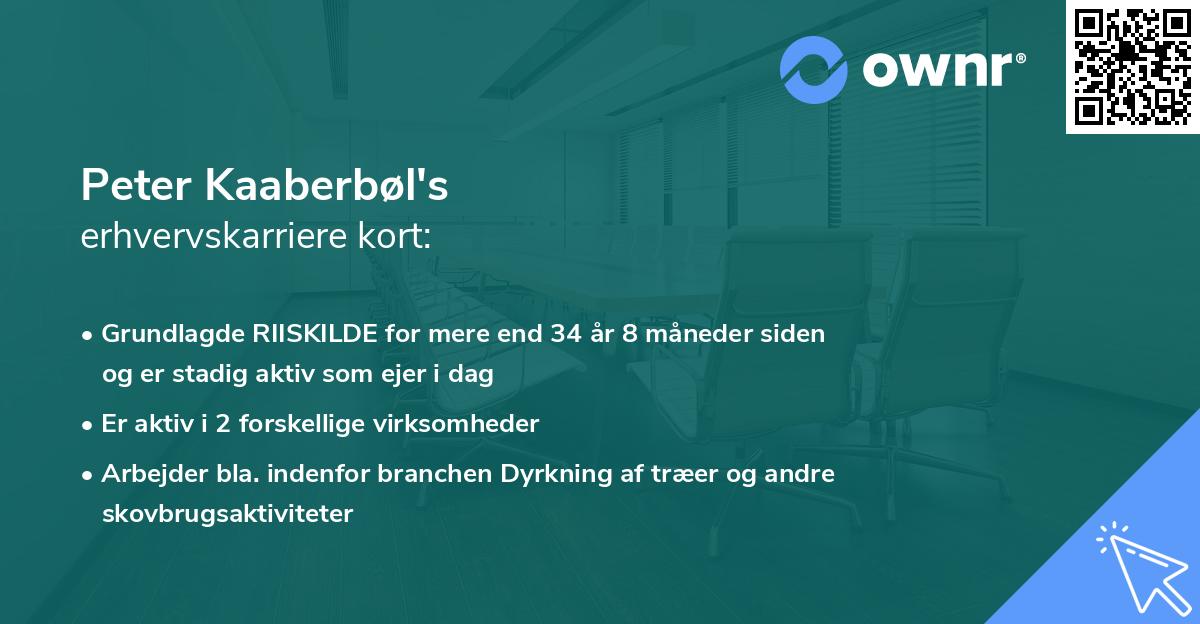 Peter Kaaberbøl's erhvervskarriere kort