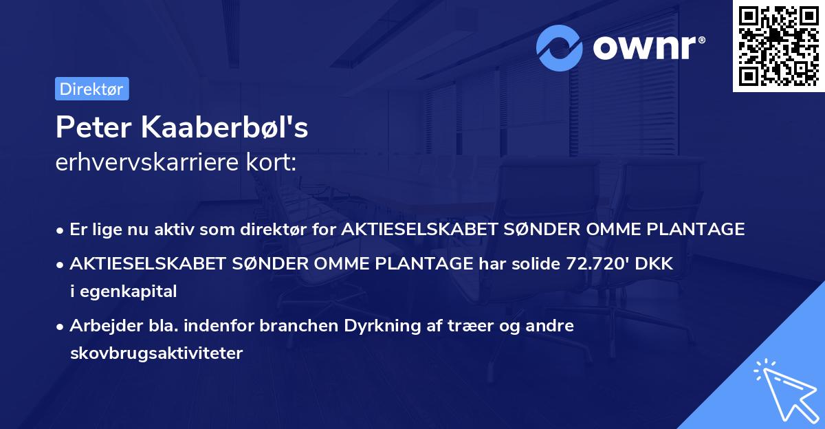 Peter Kaaberbøl's erhvervskarriere kort