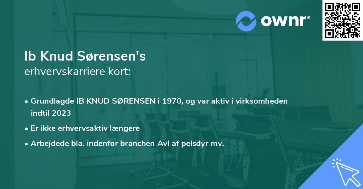 Ib Knud Sørensen's erhvervskarriere kort