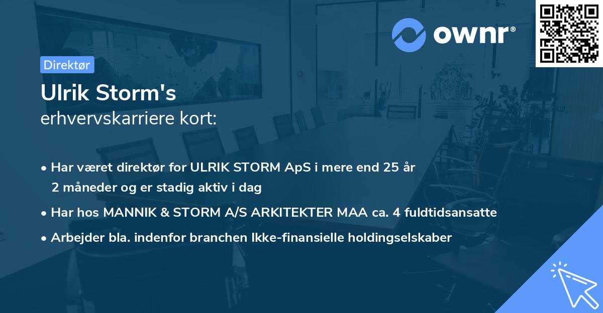 Ulrik Storm's erhvervskarriere kort