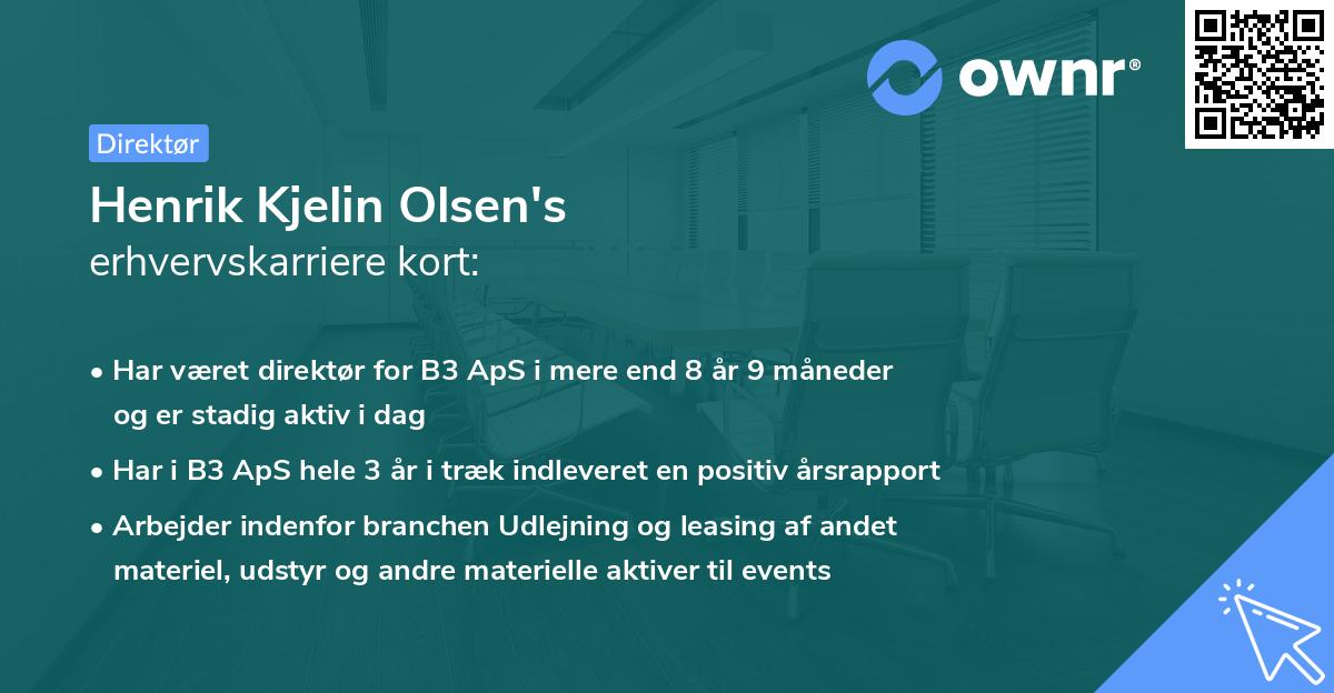 Henrik Kjelin Olsen's erhvervskarriere kort