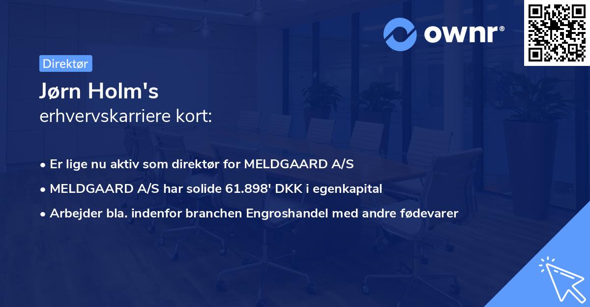 Jørn Holm's erhvervskarriere kort