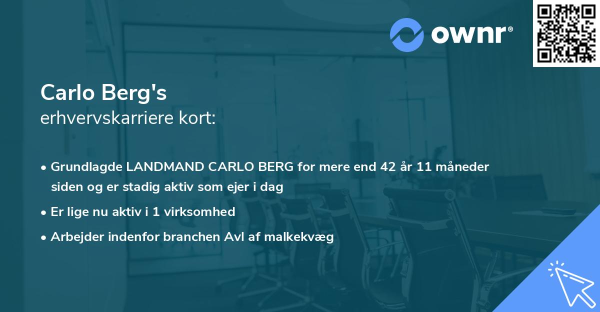 Carlo Berg's erhvervskarriere kort