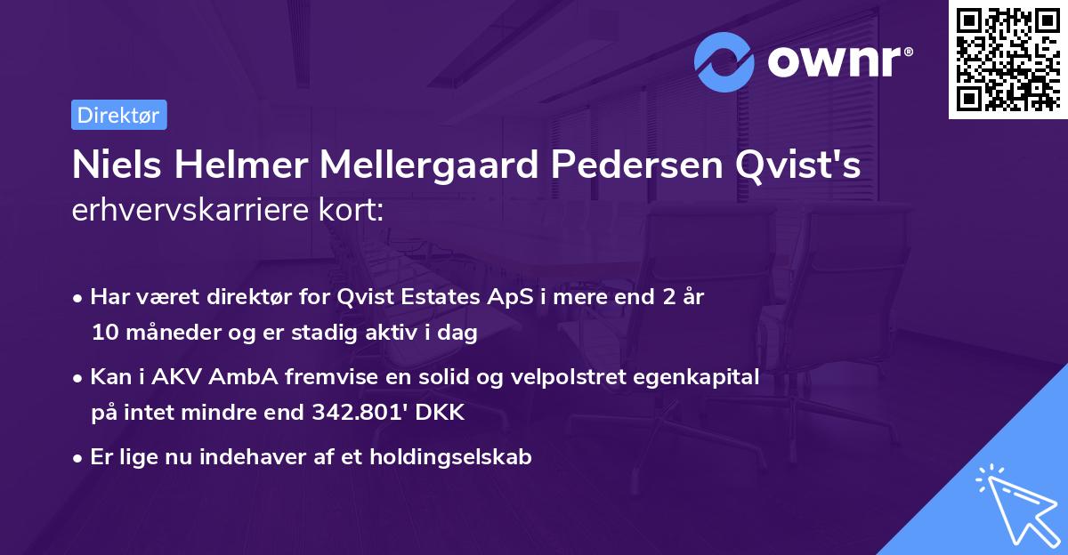Niels Helmer Mellergaard Pedersen Qvist's erhvervskarriere kort