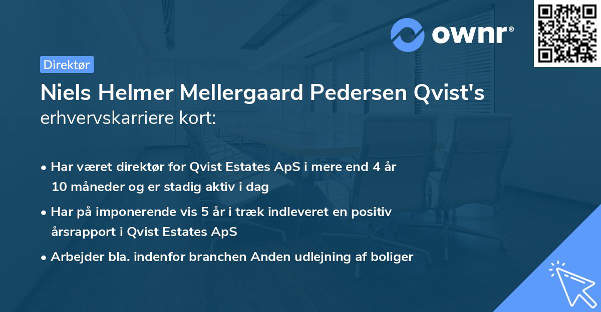 Niels Helmer Mellergaard Pedersen Qvist's erhvervskarriere kort