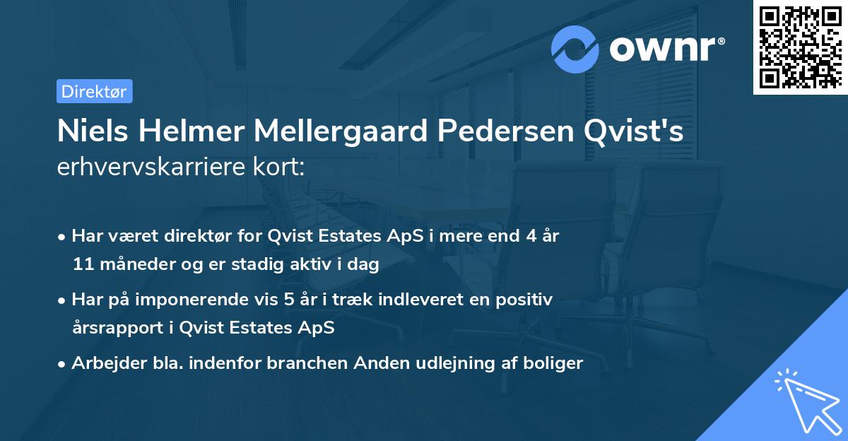 Niels Helmer Mellergaard Pedersen Qvist's erhvervskarriere kort