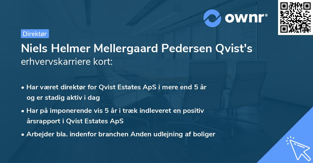 Niels Helmer Mellergaard Pedersen Qvist's erhvervskarriere kort