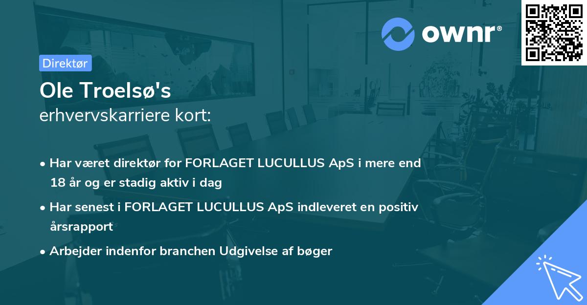 Ole Troelsø's erhvervskarriere kort