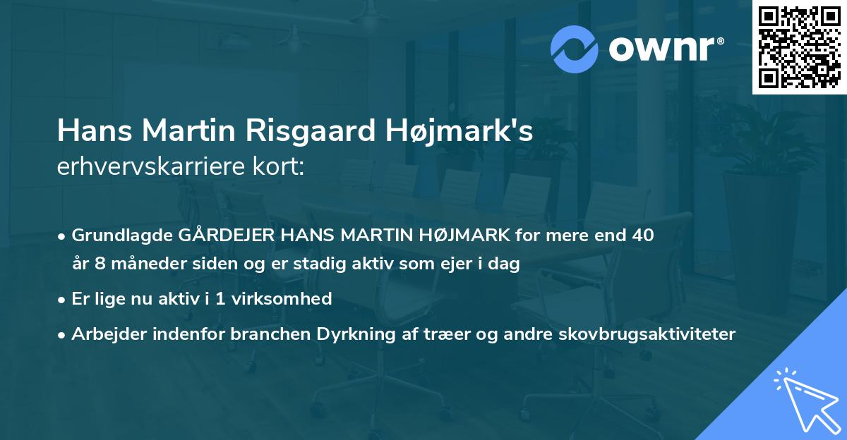 Hans Martin Risgaard Højmark's erhvervskarriere kort