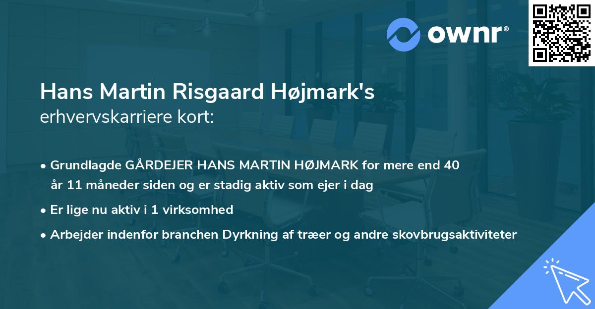 Hans Martin Risgaard Højmark's erhvervskarriere kort