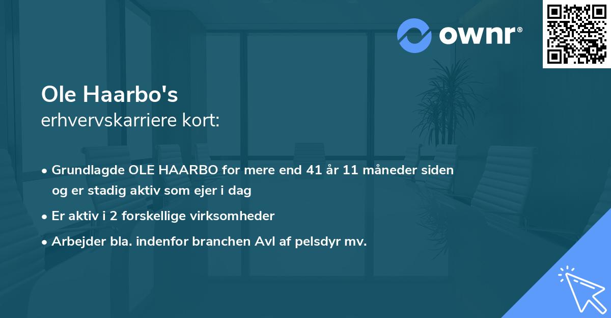 Ole Haarbo's erhvervskarriere kort