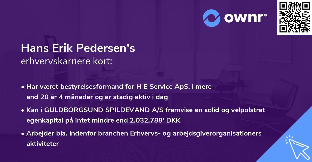 Hans Erik Pedersen's erhvervskarriere kort