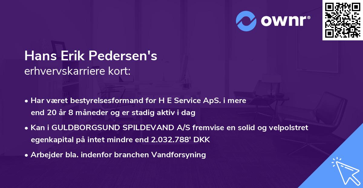 Hans Erik Pedersen's erhvervskarriere kort