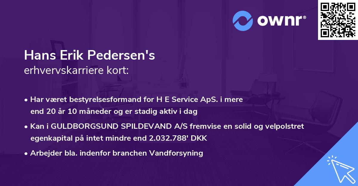 Hans Erik Pedersen's erhvervskarriere kort