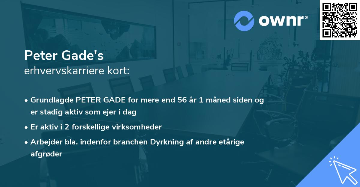 Peter Gade's erhvervskarriere kort