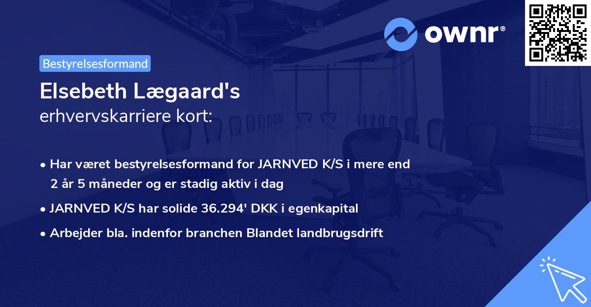 Elsebeth Lægaard's erhvervskarriere kort