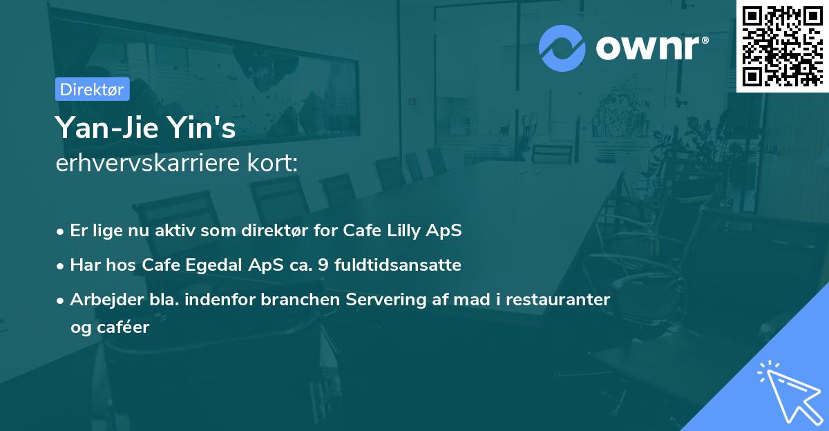 Yan-Jie Yin's erhvervskarriere kort