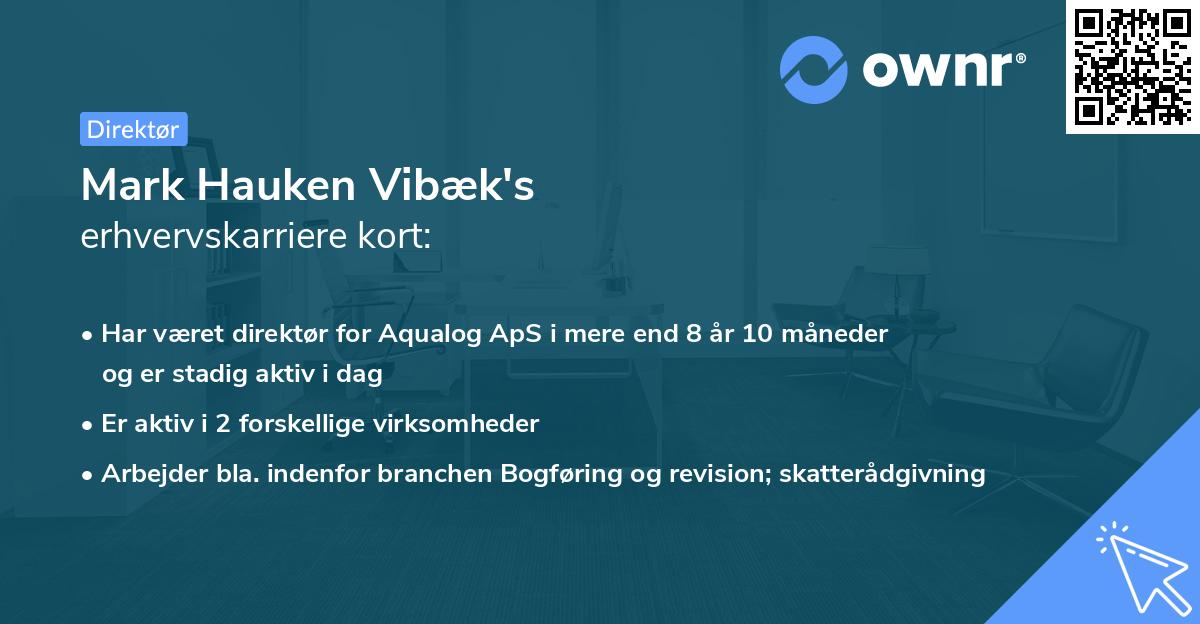 Mark Hauken Vibæk's erhvervskarriere kort