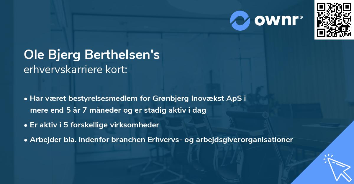 Ole Bjerg Berthelsen's erhvervskarriere kort