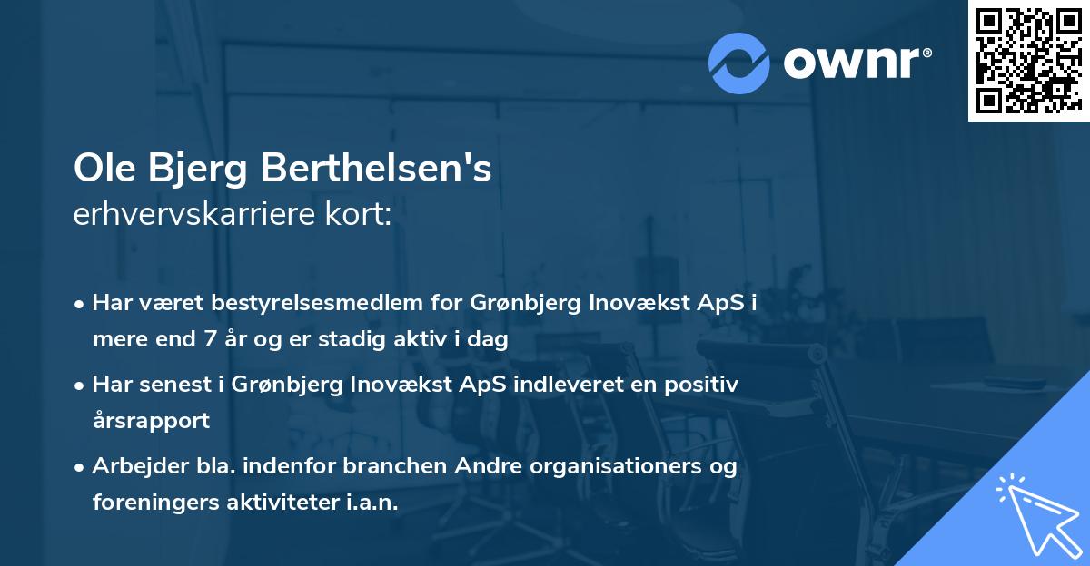 Ole Bjerg Berthelsen's erhvervskarriere kort