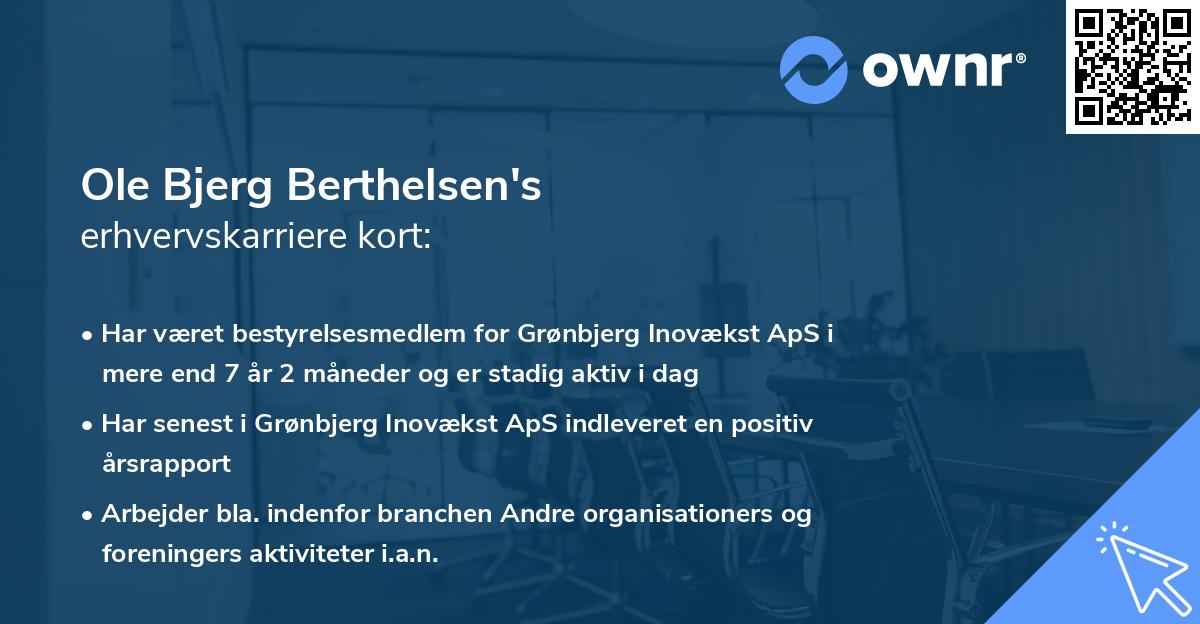 Ole Bjerg Berthelsen's erhvervskarriere kort