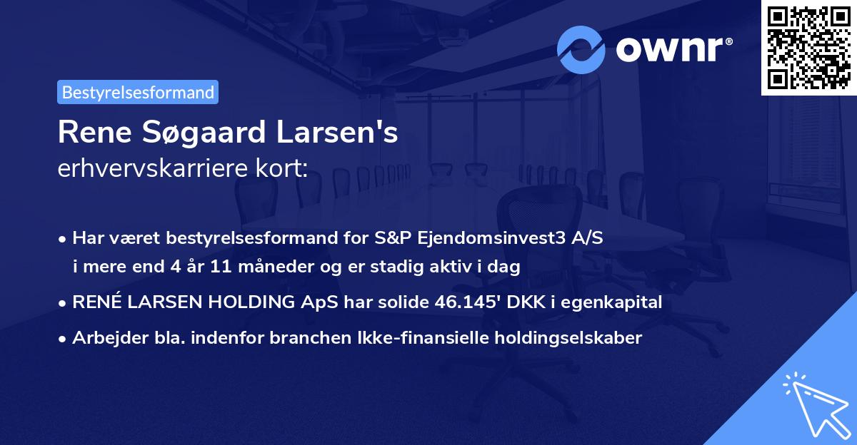 Rene Søgaard Larsen's erhvervskarriere kort