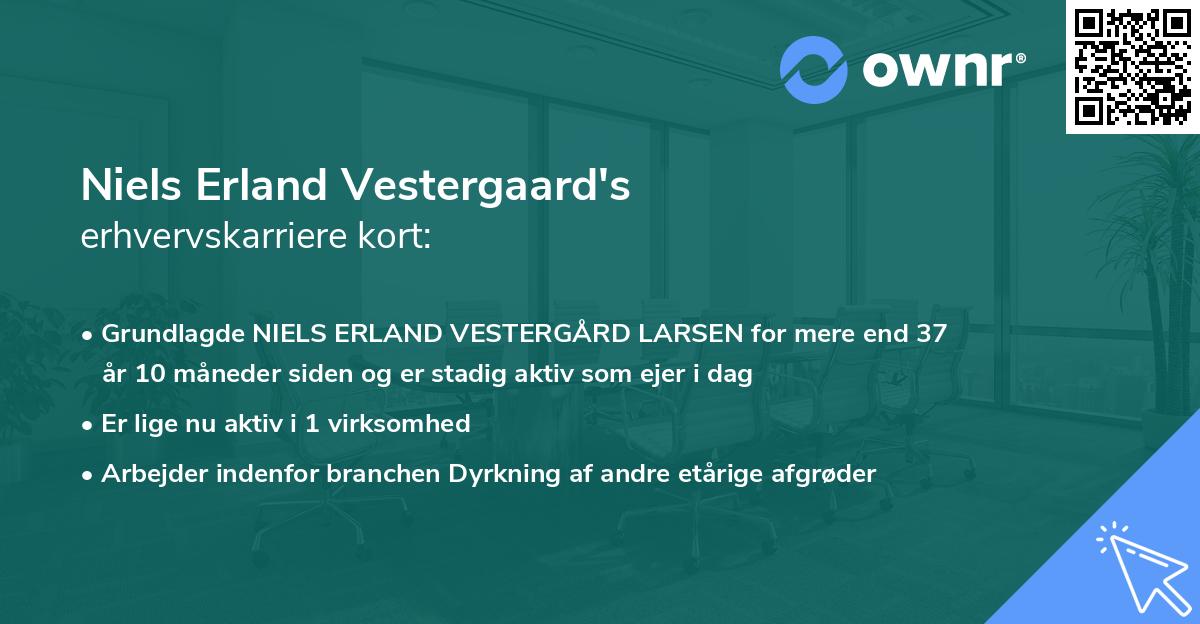 Niels Erland Vestergaard's erhvervskarriere kort