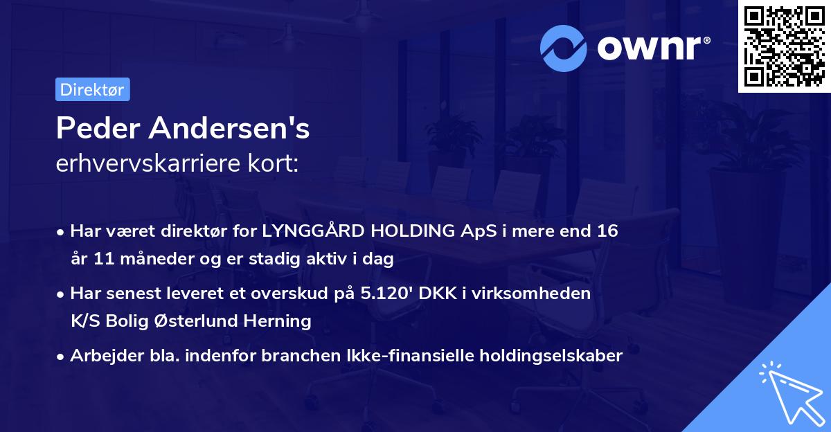Peder Andersen's erhvervskarriere kort