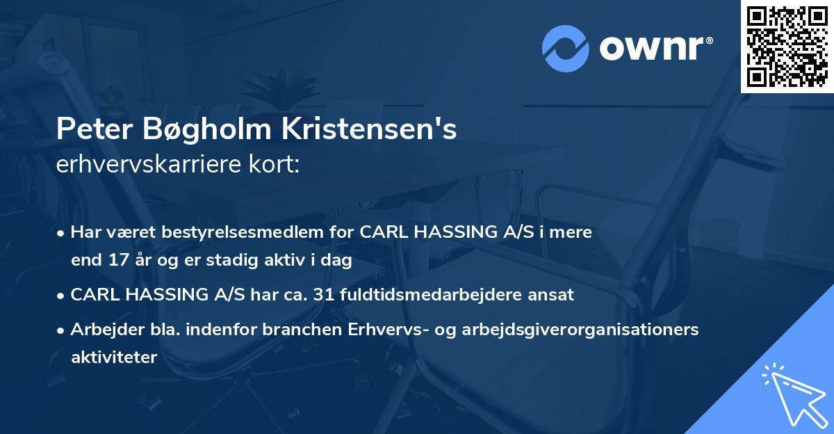 Peter Bøgholm Kristensen's erhvervskarriere kort