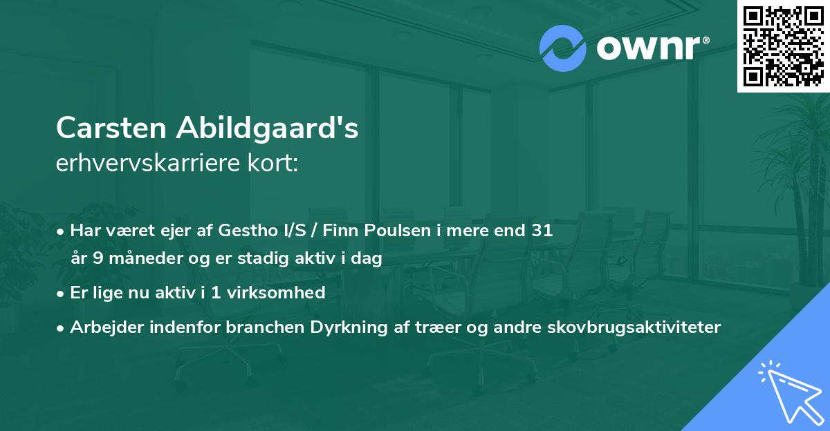 Carsten Abildgaard's erhvervskarriere kort