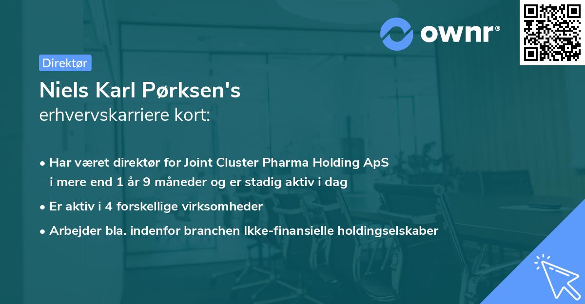 Niels Karl Pørksen's erhvervskarriere kort