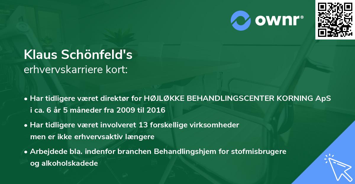 Klaus Schönfeld's erhvervskarriere kort