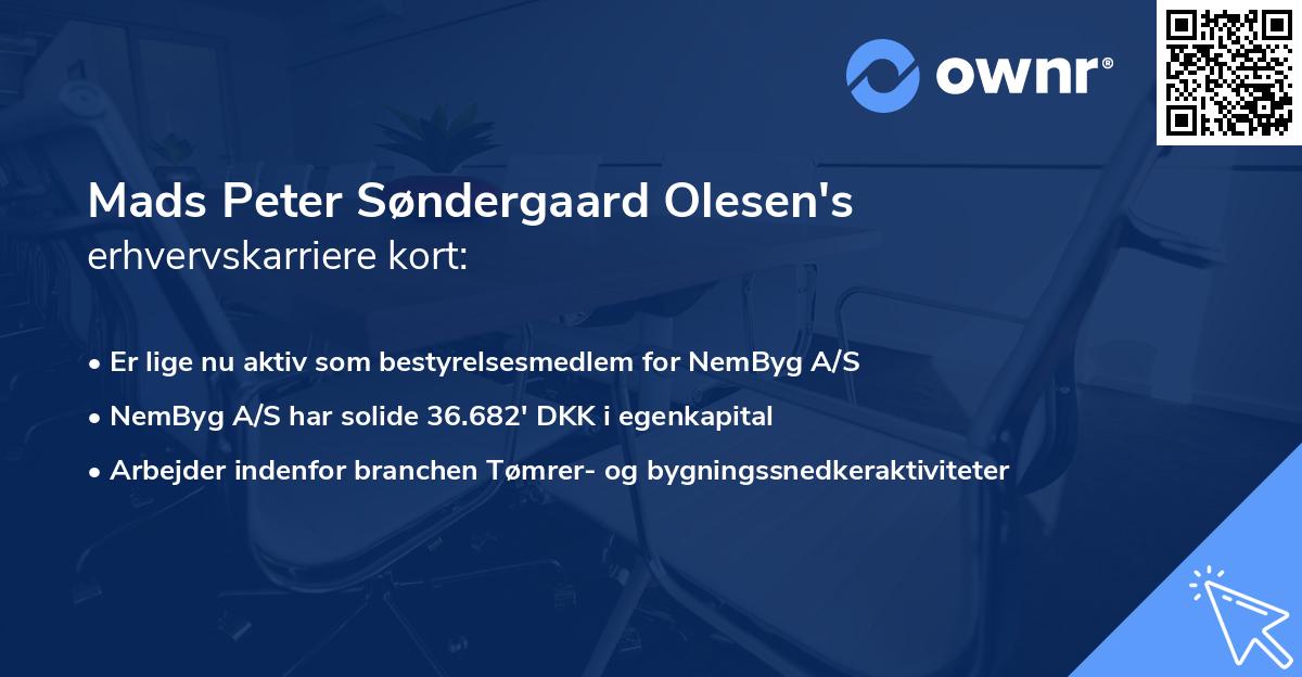 Mads Peter Søndergaard Olesen's erhvervskarriere kort
