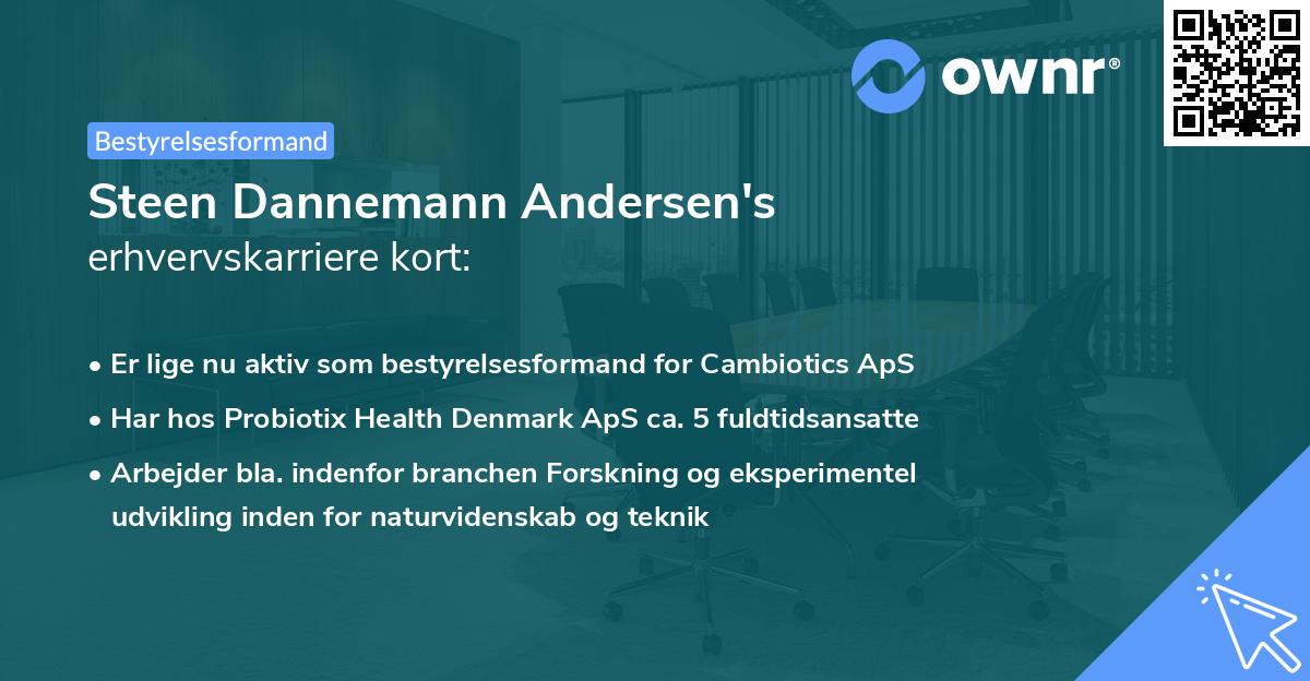 Steen Dannemann Andersen's erhvervskarriere kort