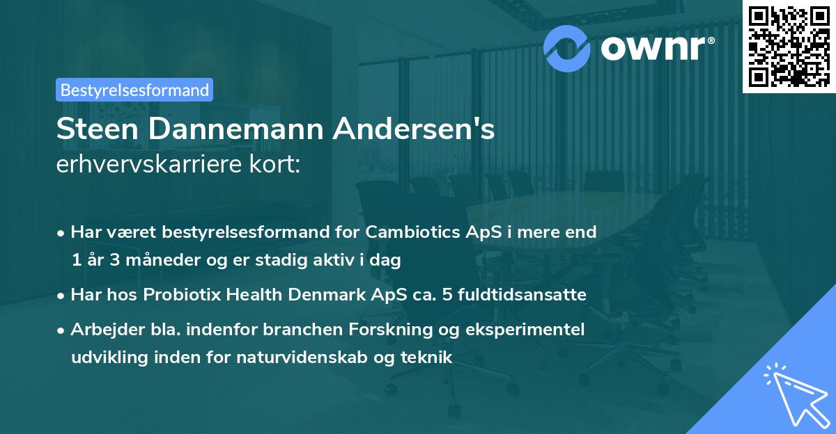 Steen Dannemann Andersen's erhvervskarriere kort