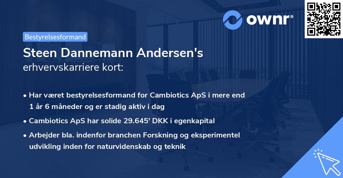 Steen Dannemann Andersen's erhvervskarriere kort