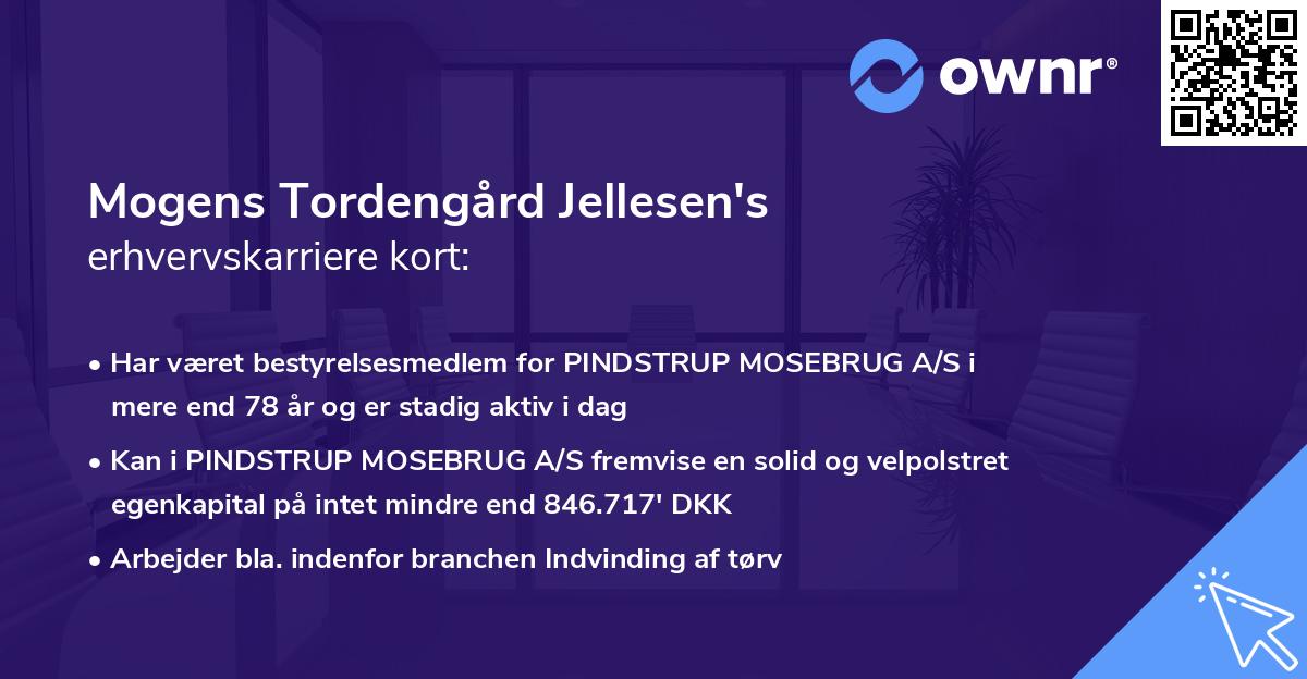 Mogens Tordengård Jellesen's erhvervskarriere kort