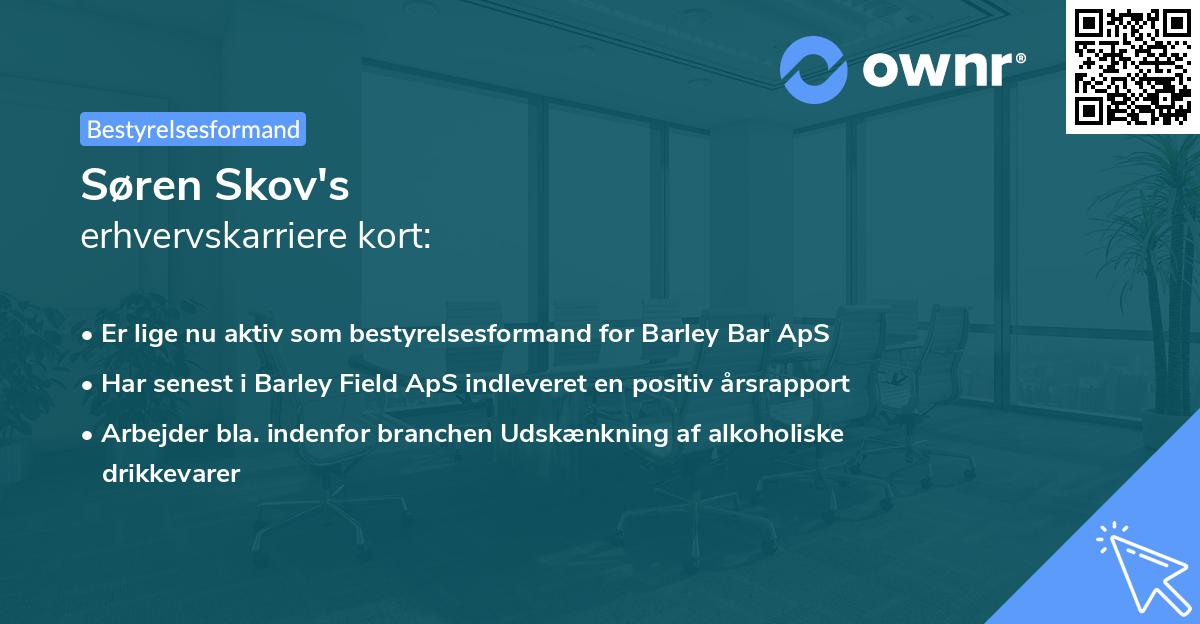 Søren Skov's erhvervskarriere kort