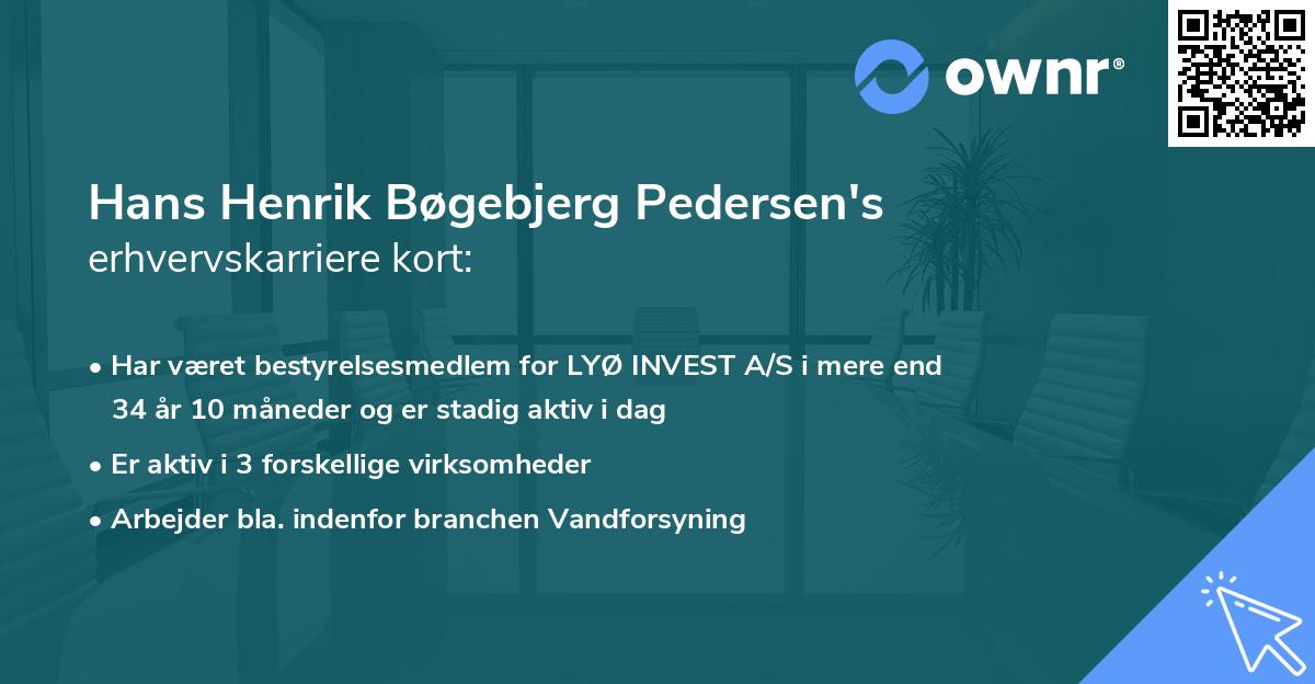 Hans Henrik Bøgebjerg Pedersen's erhvervskarriere kort