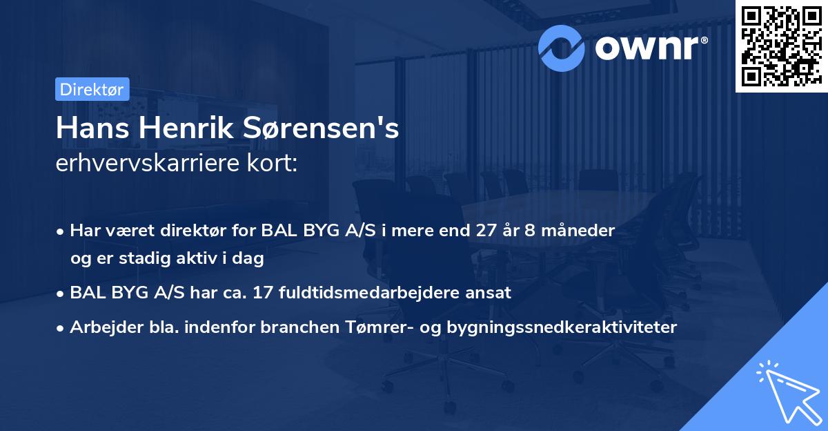 Hans Henrik Sørensen's erhvervskarriere kort