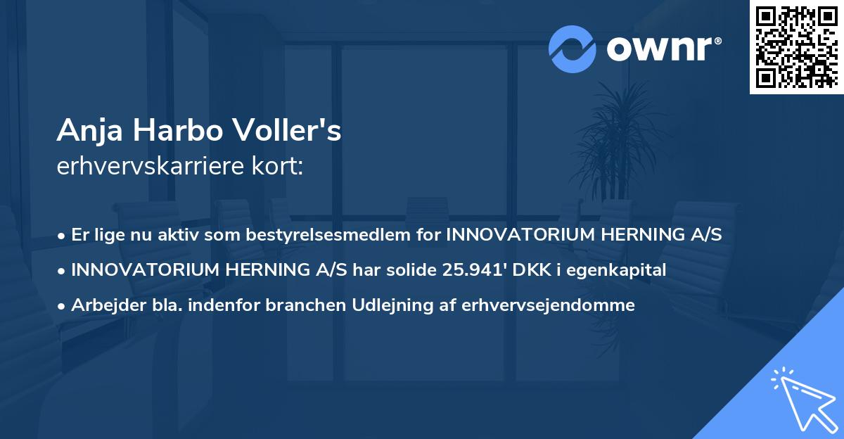 Anja Harbo Voller's erhvervskarriere kort
