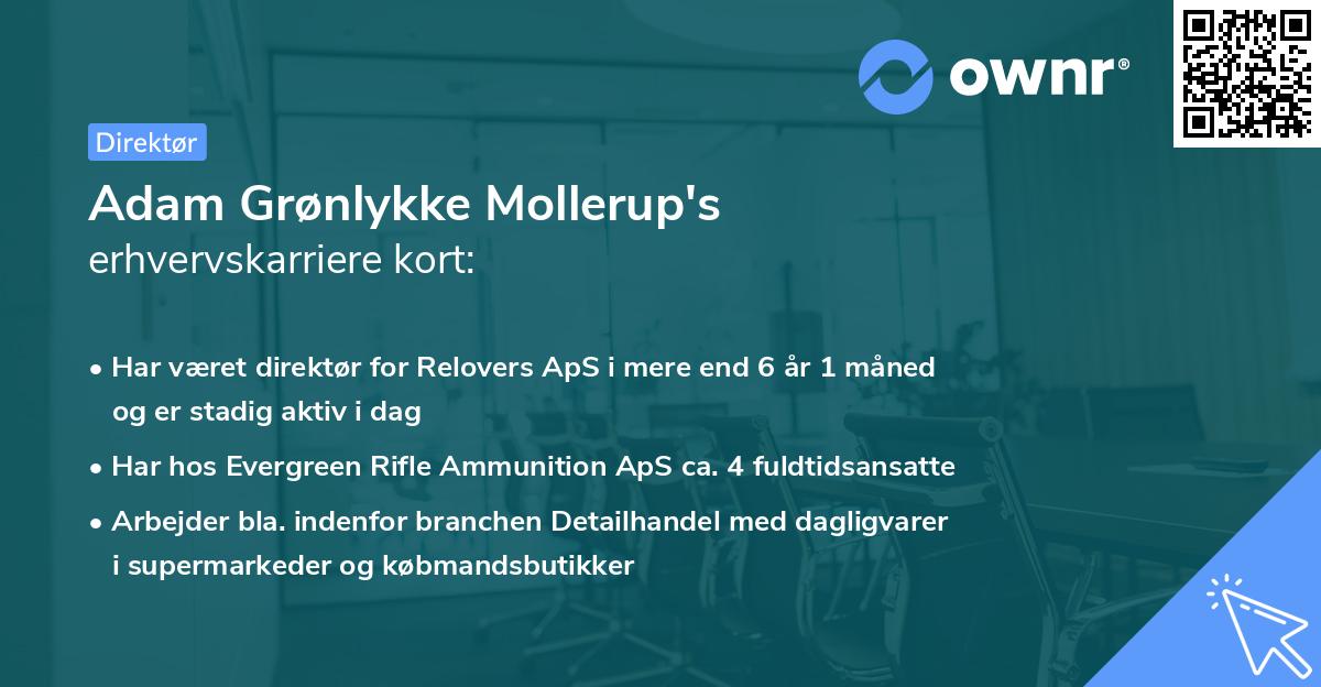 Adam Grønlykke Mollerup's erhvervskarriere kort