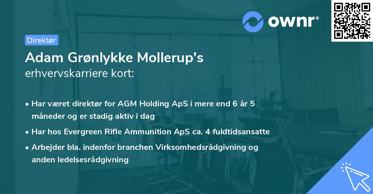 Adam Grønlykke Mollerup's erhvervskarriere kort