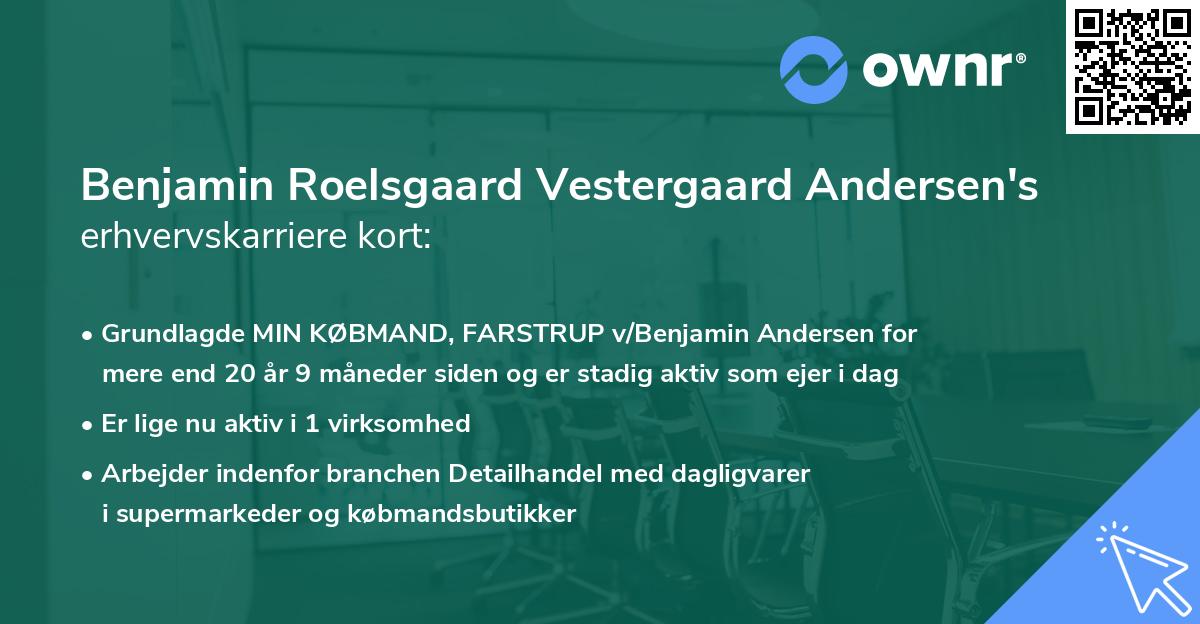 Benjamin Roelsgaard Vestergaard Andersen's erhvervskarriere kort