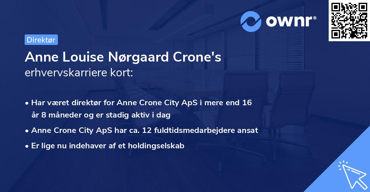 Anne Louise Nørgaard Crone's erhvervskarriere kort