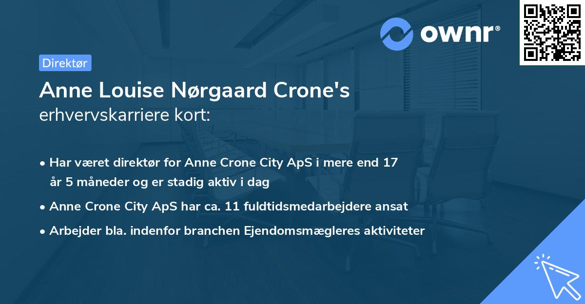 Anne Louise Nørgaard Crone's erhvervskarriere kort