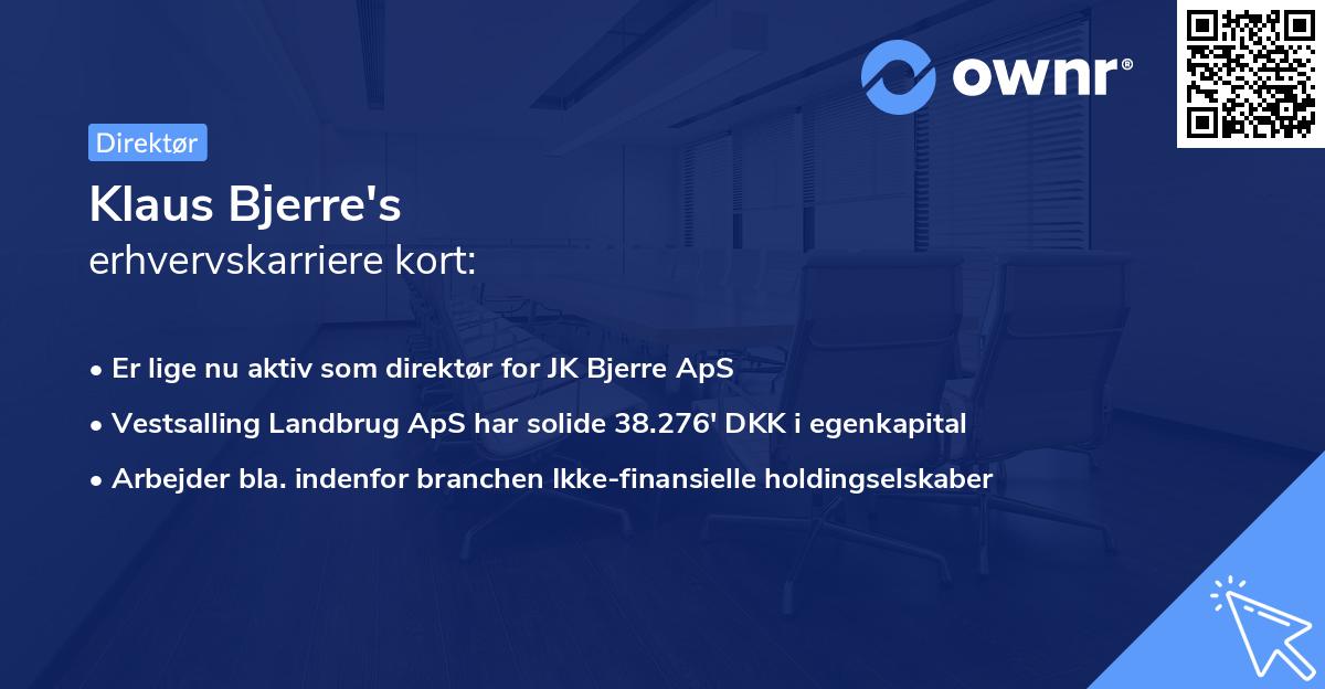 Klaus Bjerre's erhvervskarriere kort