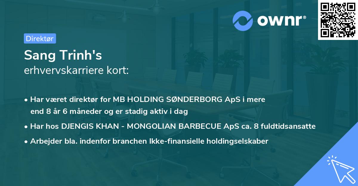 Sang Trinh's erhvervskarriere kort