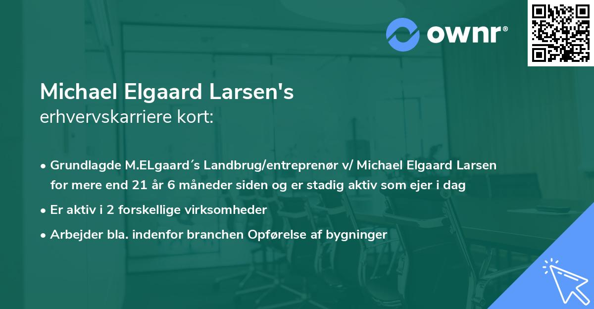 Michael Elgaard Larsen's erhvervskarriere kort